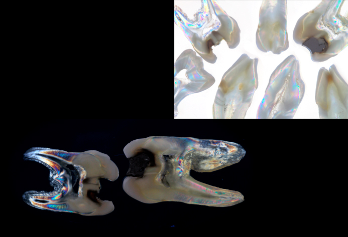 Fotografía Laboratorio Central Lab. Experimental