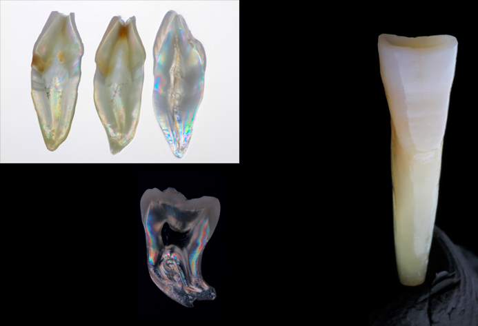 Fotografía Laboratorio Central Lab. Experimental